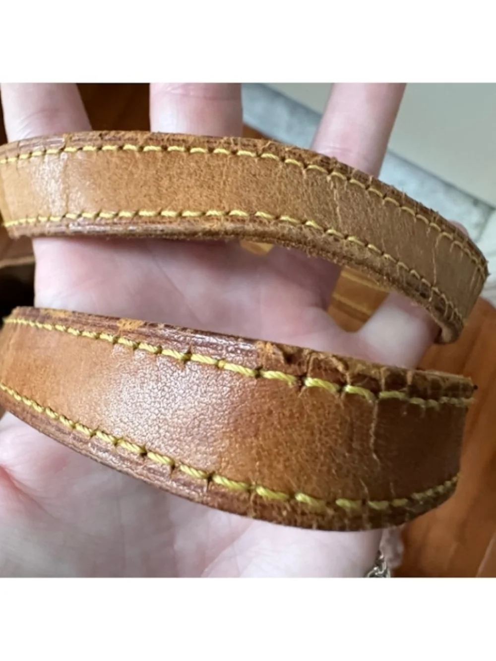AUTHENTIC Louis Vuitton Bucket GM PROJECT BAG